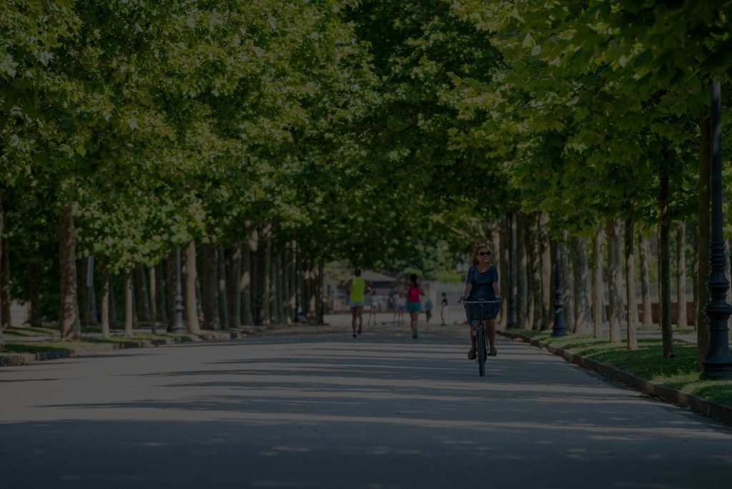 Le Mura di Lucca