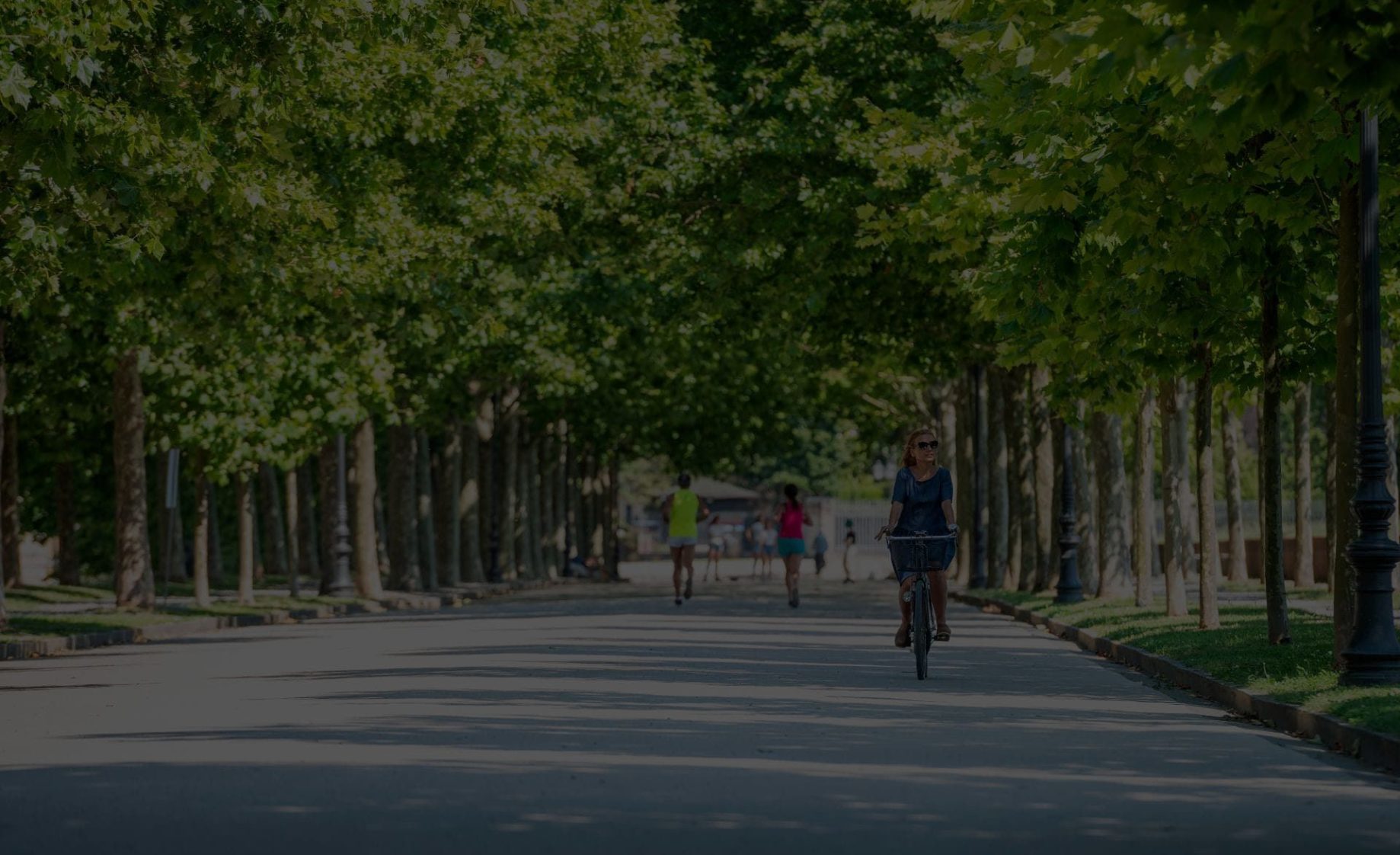 Le Mura di Lucca